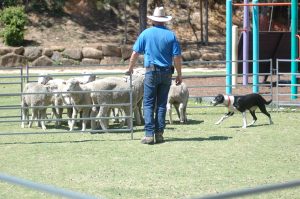 Natural farming